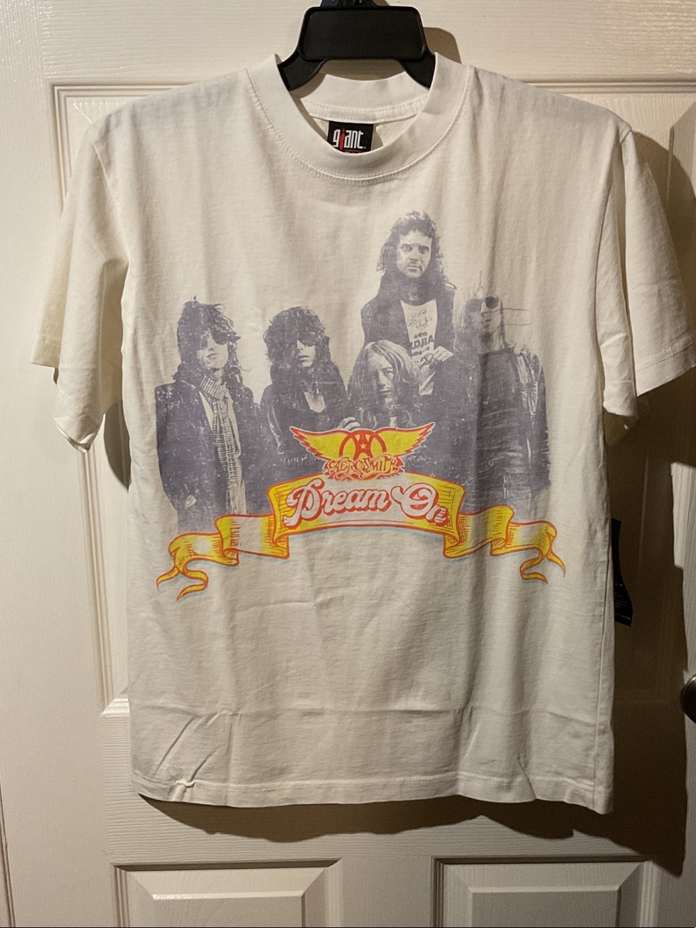 Giant Vintage Aerosmith 'Dream On' Graphic Tour Tee with Backhit